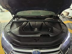 BYD Yuan Plus DM-i Champion Edition 112KM Honor Trim - ფოტო 20