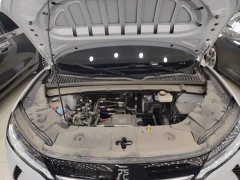 BYD Yuan UP 301KM Pilot Edition - ფოტო 20