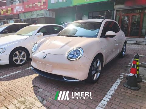 2022 ORA Good Cat 2021 400km Standard Range Athena Edition LFP Battery - ავტომობილი ჩინეთიდან