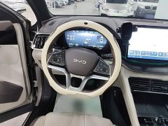 BYD Song Plus New Energy EV 520km Premium Edition - ფოტო 11