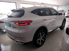 Haval F7 2020 1.5T Two-Wheel Drive i Tide - ფოტო 7