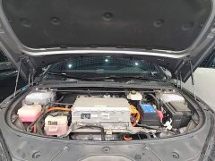 BYD Han 2020 EV Ultra-Long Range Luxury - ფოტო 20