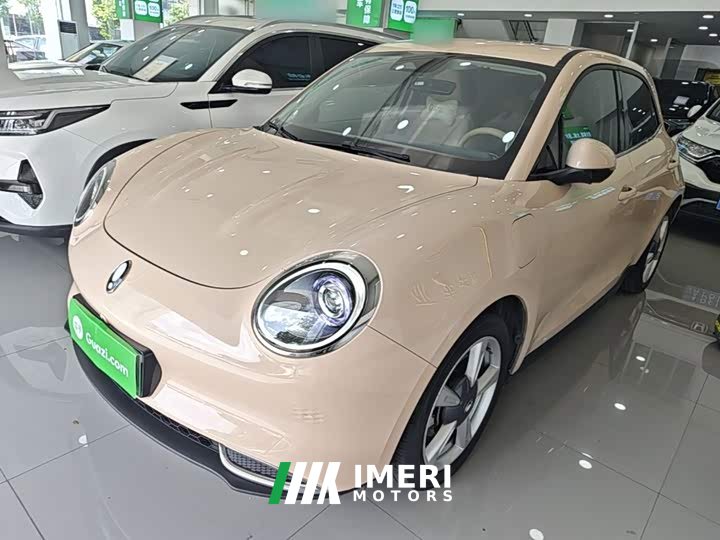 ORA Good Cat 401km Standard Range Deluxe LFP - ავტომობილი ჩინეთიდან