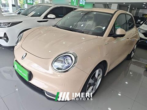 2023 ORA Good Cat 401km Standard Range Deluxe LFP - ავტომობილი ჩინეთიდან