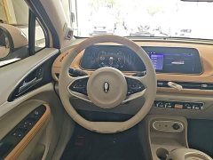 ORA Good Cat 401km Standard Range Deluxe LFP - ფოტო 11