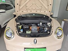 ORA Good Cat 401km Standard Range Deluxe LFP - ფოტო 20