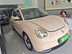 ORA Good Cat 401km Standard Range Deluxe LFP - ფოტო 4