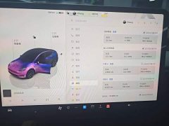 Tesla Model Y 2023 Long Range All-Wheel Drive - ფოტო 12