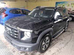 Great Wall Dachshund 2022 1.5T DCT Two-Wheel Drive Labrador Edition - ფოტო 1