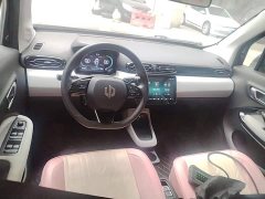 Leapmotor T03 Pearl White Edition - ფოტო 10