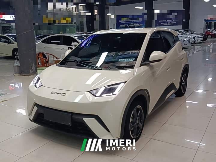 BYD Seagull Freedom Edition - ავტომობილი ჩინეთიდან