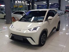 BYD Seagull Freedom Edition - ფოტო 2