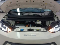 BYD Seagull Freedom Edition - ფოტო 20