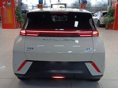 BYD Seagull Freedom Edition - ფოტო 6