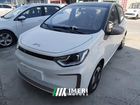 2026 Yttrium Flower Fairy Cherished Edition 301km Lite - car from China