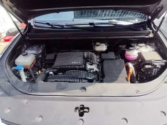 BYD Song Pro New Energy DM-i 71KM Glory Edition Pilot - ფოტო 20
