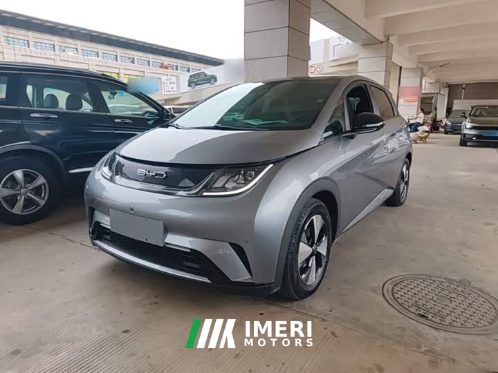 BYD Dolphin 420km Fashion Edition - ავტომობილი ჩინეთიდან