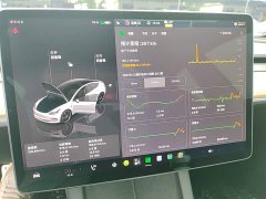 Tesla Model 3 2021 Facelift Performance All-Wheel Drive - ფოტო 8