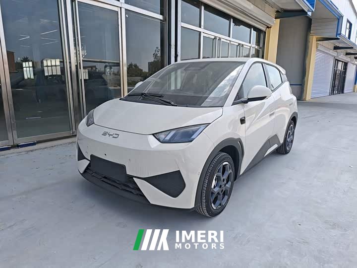 BYD Seagull Smart Driving Edition 305km Freedom Edition