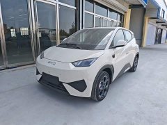 BYD Seagull 2025 Smart Driving Edition 305km Freedom Edition - ფოტო 1