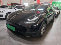 Tesla Model Y 2021 Standard Range RWD - ფოტო 2