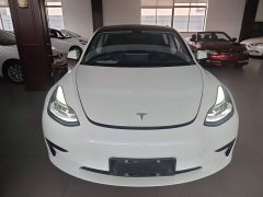 Tesla Model 3 2022 Rear-Wheel Drive - ფოტო 3
