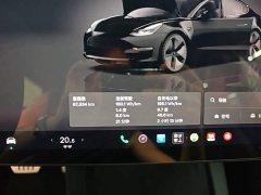 Tesla Model 3 2021 Standard Range RWD Upgrade 3D6 - ფოტო 12