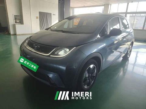 2024 BYD Dolphin Glory Edition 420km Fashion Version