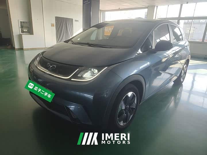 BYD Dolphin Glory Edition 420km Fashion Version