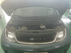 BYD Dolphin Glory Edition 420km Fashion Version - ფოტო 20