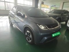 BYD Dolphin Glory Edition 420km Fashion Version - ფოტო 4