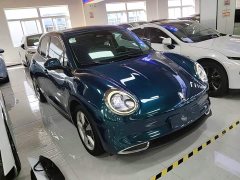 ORA Good Cat 400km Standard Range Athena Edition LFP Battery - ფოტო 4