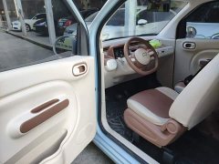 FAW Besturn Xiaoma 2026 222km Shining Edition - ფოტო 16