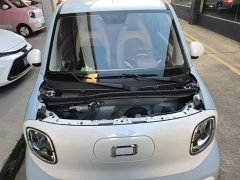 FAW Besturn Xiaoma 2026 222km Shining Edition - ფოტო 20
