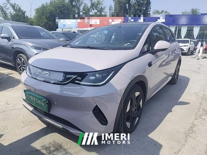 BYD Dolphin Smart Driving Edition 520km Knight Edition - ავტომობილი ჩინეთიდან