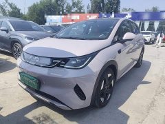 BYD Dolphin Smart Driving Edition 520km Knight Edition - ფოტო 1