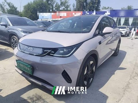 2025 BYD Dolphin Smart Driving Edition 520km Knight Edition - ავტომობილი ჩინეთიდან
