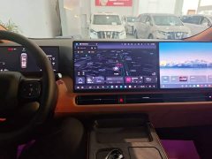 Great Wall WEY Shanshan New Energy Four-Wheel Drive Shanshan 8 - ფოტო 10
