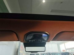Great Wall WEY Shanshan New Energy Four-Wheel Drive Shanshan 8 - ფოტო 18