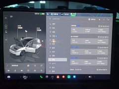 Tesla Model 3 2023 Rear-Wheel Drive - ფოტო 5