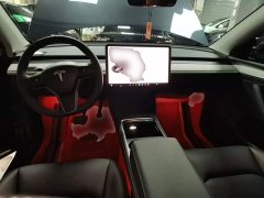 Tesla Model Y 2024 Rear-Wheel Drive - ფოტო 10