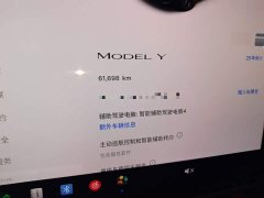 Tesla Model Y 2024 Rear-Wheel Drive - ფოტო 12