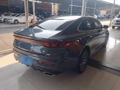 Geely Xingrui 2.0T Diesel Premium - ფოტო 7