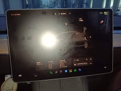 Tesla Model 3 2022 Rear-Wheel Drive - ფოტო 12