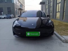Tesla Model 3 2022 Rear-Wheel Drive - ფოტო 3