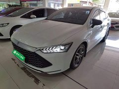 BYD Qin Plus DM-i 55KM Flagship - ფოტო 1