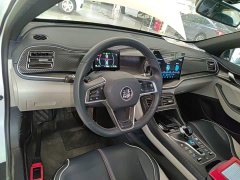 BYD Qin Plus DM-i 55KM Flagship - ფოტო 10