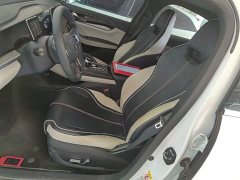 BYD Qin Plus DM-i 55KM Flagship - ფოტო 15