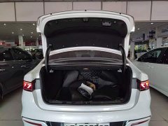 BYD Qin Plus DM-i 55KM Flagship - ფოტო 19