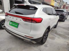 Haval H6 2023 National Trend Edition 1.5T Automatic Urban Version - ფოტო 7